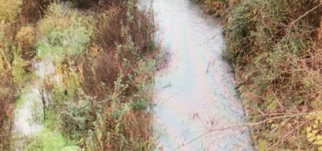 Reflui frantoio in fiume, sequestrato