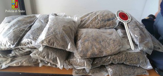 Trovati 35 kg marijuana nel reggino