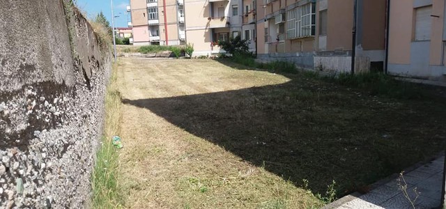 "Diserbo e decespugliamento nel quartiere Santa Maria è stato rapido, approfondito ed efficace"