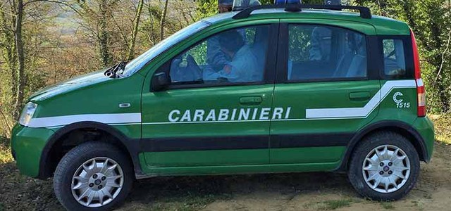 Bracconaggio nel Reggino, un arresto e due denunce