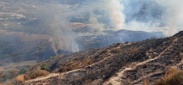 Giornata impegnativa per le sale operative antincendio nel primo giorno di agosto: quasi cento incendi attivi. Colpite soprattutto le province di Catanzaro e Reggio
