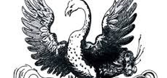 Onlus la Fenice ringrazia AZ Spa per buoni spesa