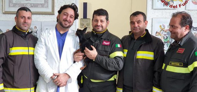 Vigili del fuoco salvano cane da casa in fiamme