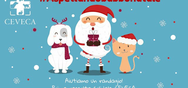 #aspettandobabbonatale: raccolta solidale al CEVECA