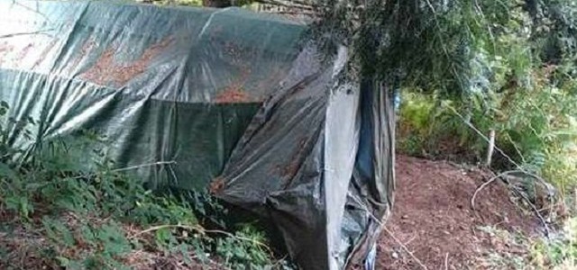 Scoperta piantagione di canapa indiana dai carabinieri