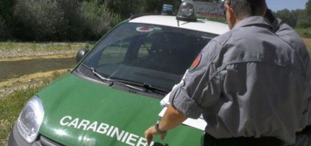 Sequestrati prodotti fitosanitari