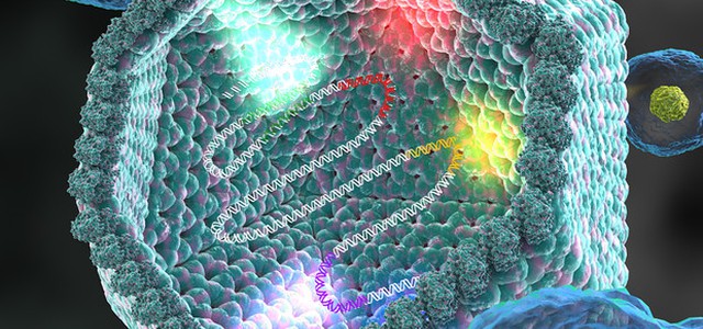 Scoperti i virus Frankenstein, giganti evoluti da mini virus