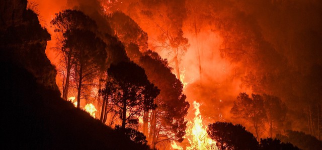 Incendi estivi e prevenzione in Calabria: cosa si sta (o non si sta) facendo