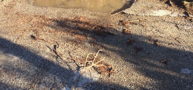 Gironda: "Chiesto ripristino del manto stradale in via Orti"