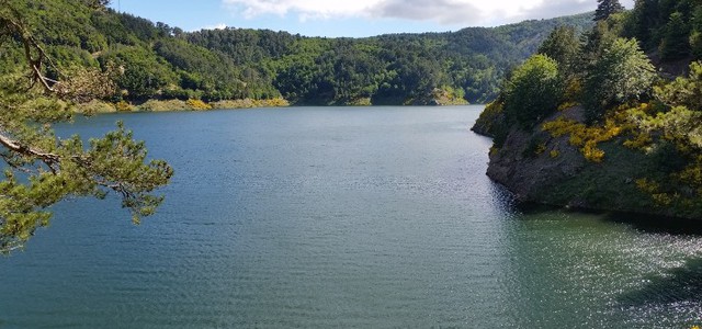 Nuovi incentivi per il Turismo Scolastico e Sociale nel Parco dell’Aspromonte