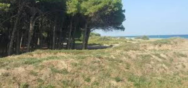 Ancora atti vandalici allu Dune di Giovino