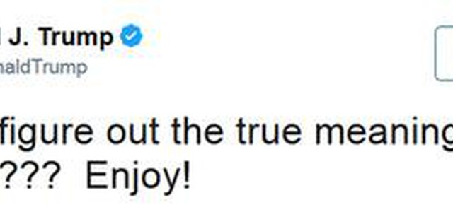 Tweet 'pirata' figlio portavoce Trump