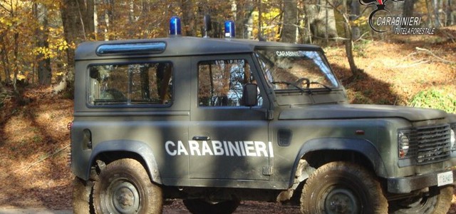 Introduzione abusiva di armi all'interno del Parco regionale delle Serre