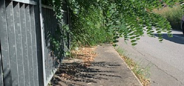 Veraldi: "Marciapiedi di Catanzaro impraticabili per mamme con passeggini e disabili" (FOTO)