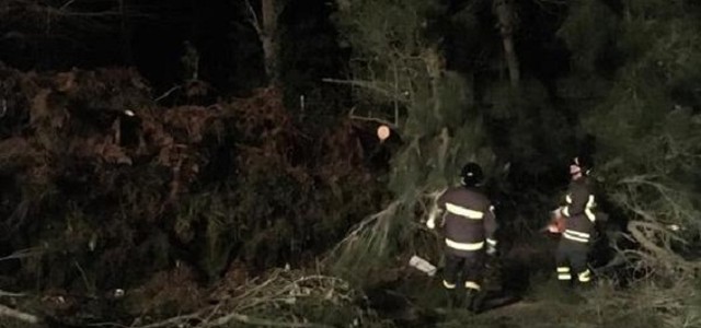 Pioggia e forti raffiche di vento, frana sulla statale 18
