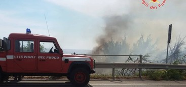 Incendi, in azione vigili del fuoco