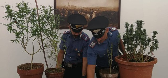 Marijuana in casa, arrestato 50enne catanzarese