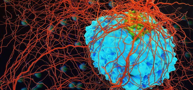 Arriva in Ue Car-T, la cura per i tumori del sangue che usa le cellule del paziente