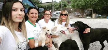 Catanzaro Sport Village, solidarietà anche verso gli animali