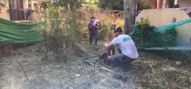 SCUOLA MAZZINI - AVVIATI INTERVENTI DI PULIZIA E BONIFICA DOPO LA DIFFIDA ALLA DITTA