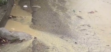 Degrado in via Fiume Tacina, Fare per Catanzaro scrive al Prefetto