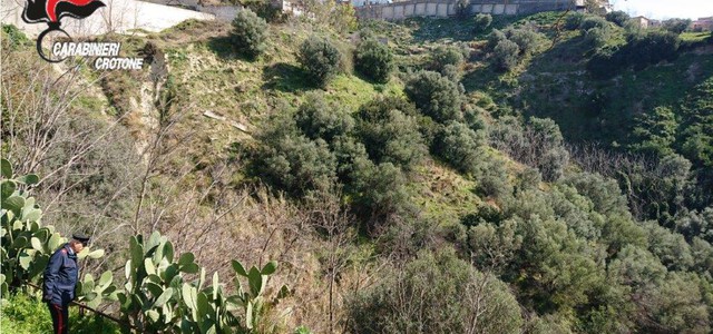 Uomo di ottantasei anni scivola in un precipizio, salvato dai carabinieri