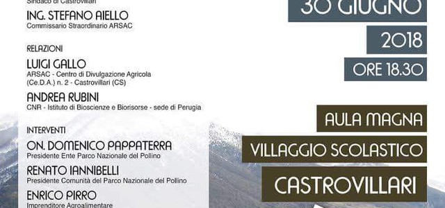 LE SPECIE DI TARTUFO DELL'AREA DEL POLLINO