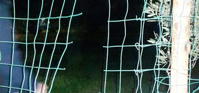 Tentano furto al Villaggio Floriana, messi in fuga dalla sicurezza