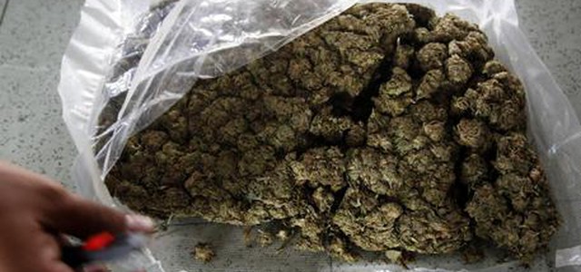 In casa 1,2 kg di marijuana, arrestato