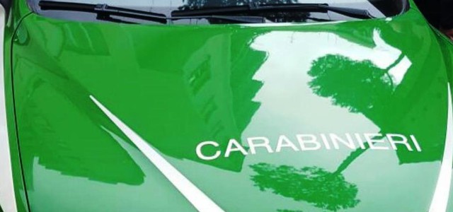 Cava in oasi naturale, sequestri e denunce nel Vibonese