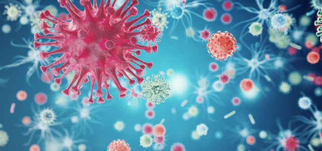 Primi 6 trapianti di flora batterica in Italia su bambini all'Ospedale Bambino Gesù