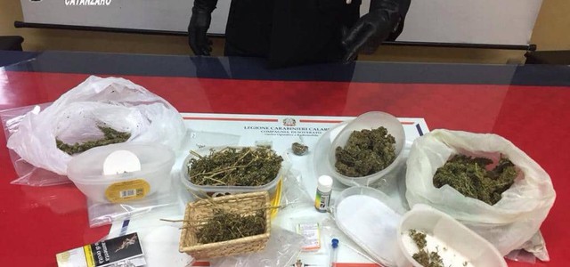 Marijuana nel frigo: arrestato 40enne  