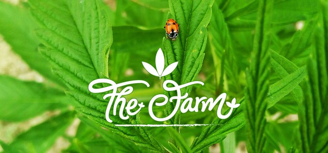 The Farm: il meglio della Cannabis Sativa L