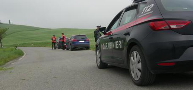 Lascia bovini liberi e causa incidente