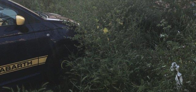 Catanzaro, Rotundo: "Benvenuti nella giungla di Via Galeazzo di Tarsia" (FOTO)