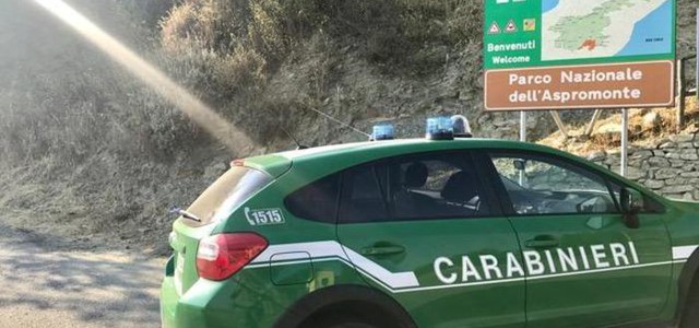 Abusivismo, sequestrato fabbricato in area Parco d'Aspromonte