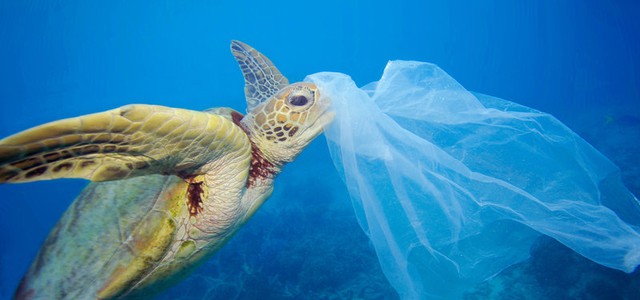 M5S: "Il Comune di Crotone sarà Plastic Free"