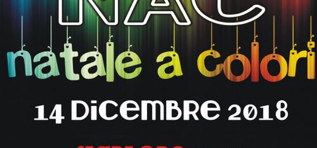 La Camera di commercio accende il "Natale a colori"