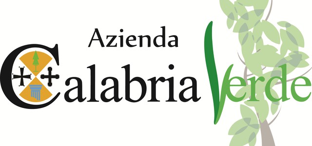 Adesione lavoratori Calabria Verde alla manifestazione nazionale sul Mezzogiorno