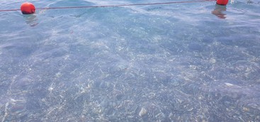 Cacca nel mare di Catanzaro: ancora una volta si evita il bagno