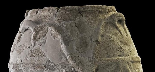 I resti dell'olio d'oliva più antico, hanno 4000 anni