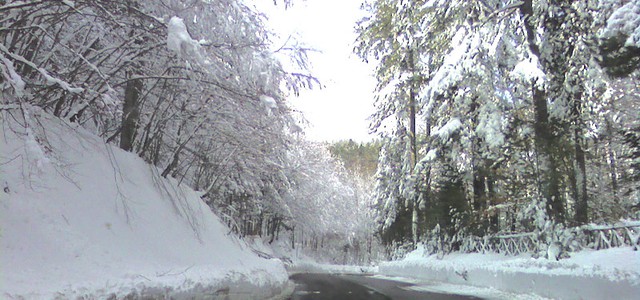 Prociv Girifalco: L'emergenza neve è stata gestita bene e senza grossi disagi