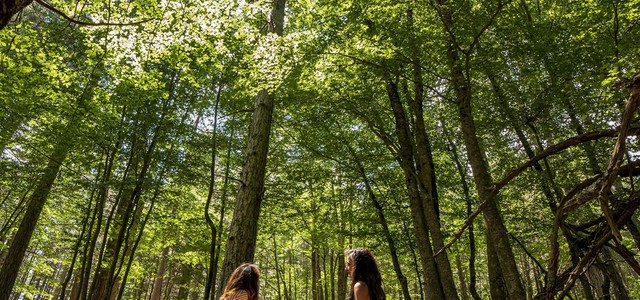 SERE FAI D’ESTATE  AI GIGANTI DELLA SILA, SPEZZANO DELLA SILA (CS)
