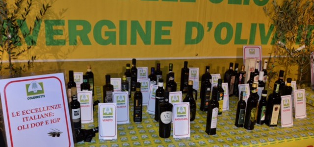 Olio, Coldiretti: crollo del 69%della produzione e import dai paesi africani- Aumentare i controlli