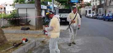 Diserbo, Gironda: "Interventi a tappeto in tutta la città"