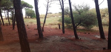 "Una passeggiata tra le dune di Giovino per iniziare un percorso di conoscenza"