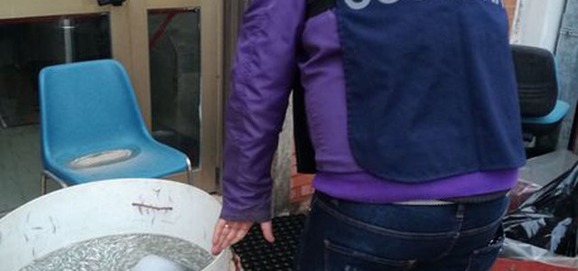 Sequestrati 260 kg di pescato