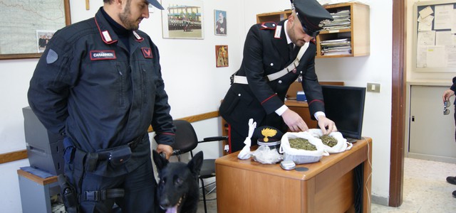 Attività antidroga dei Carabinieri di Crotone : otto arresti negli ultimi giorni  
