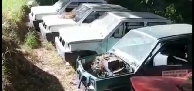 Catanzaro, Veraldi: "Siano, da polmone verde a deposito di rottami di auto" (VIDEO)