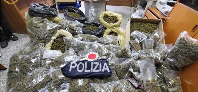 Calabria Droga: teneva in casa 51 kg di marijuana, arrestato Droga: teneva in casa 51 kg di marijuana, arrestato